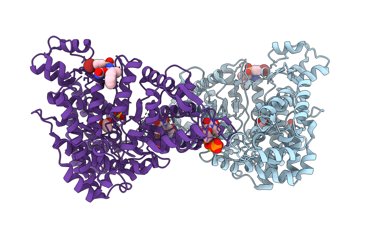 6L3R image