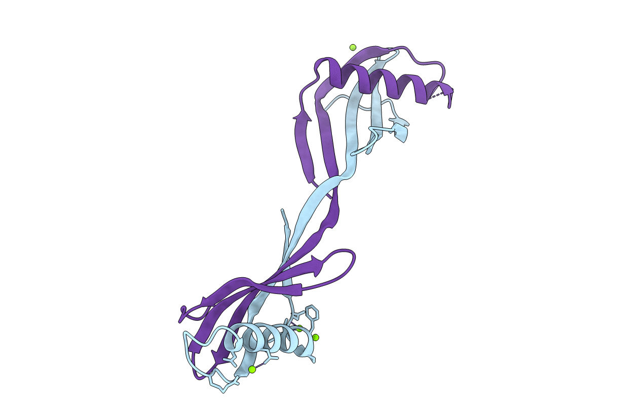 6L4N image