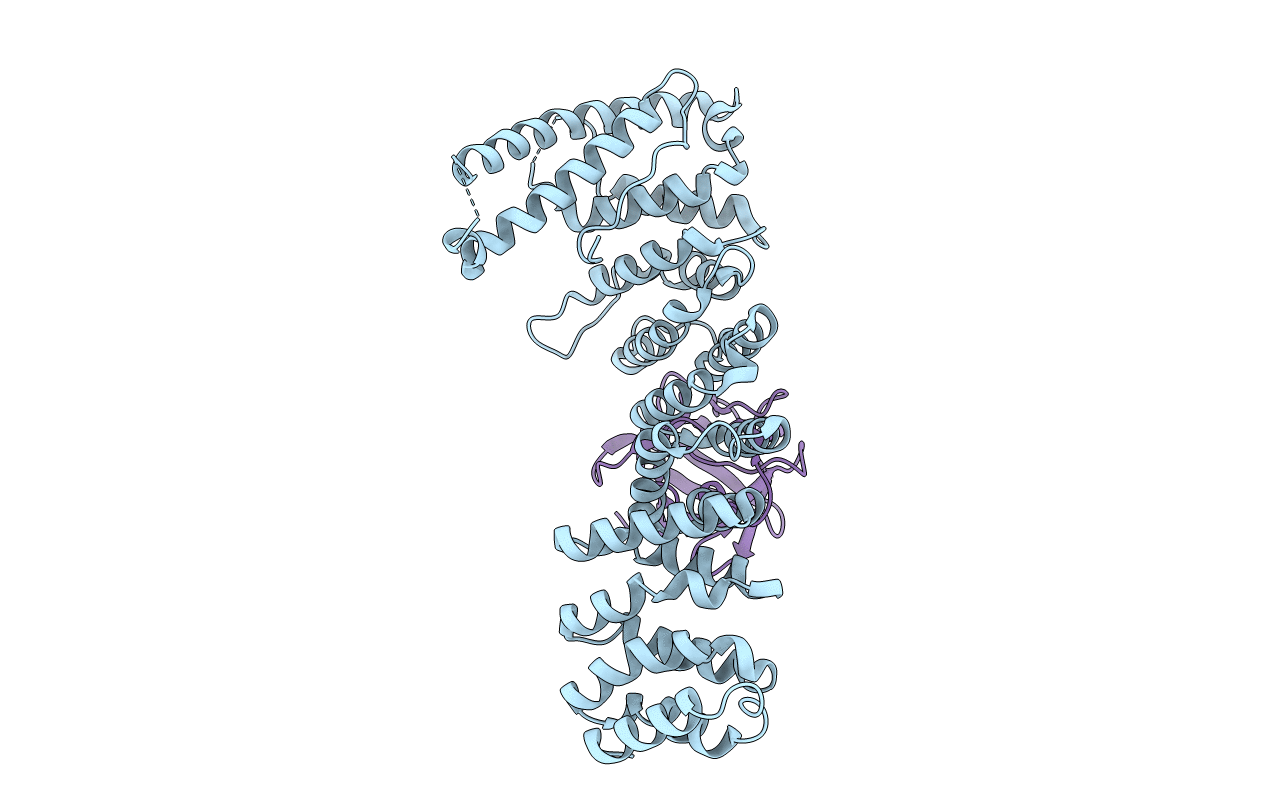 6L4O image