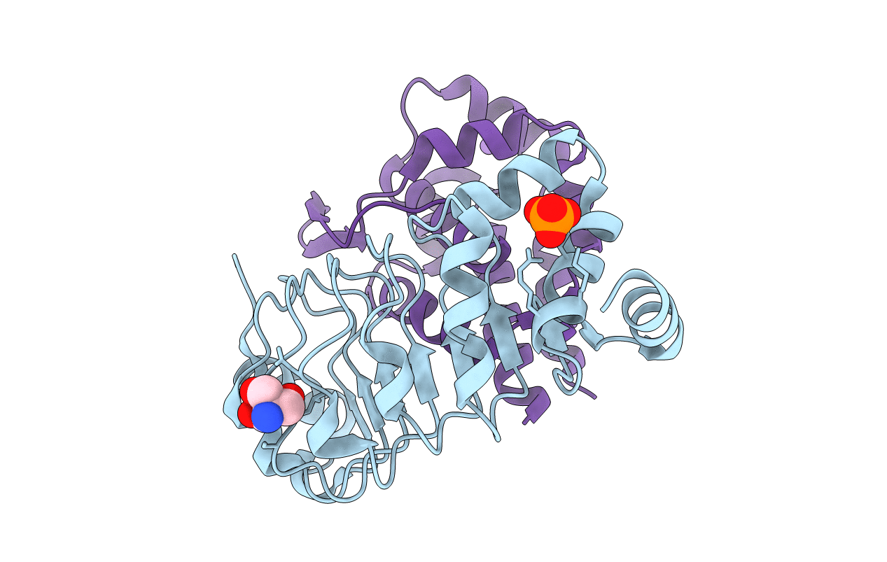 6L4P image