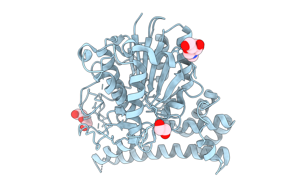 6L4W image