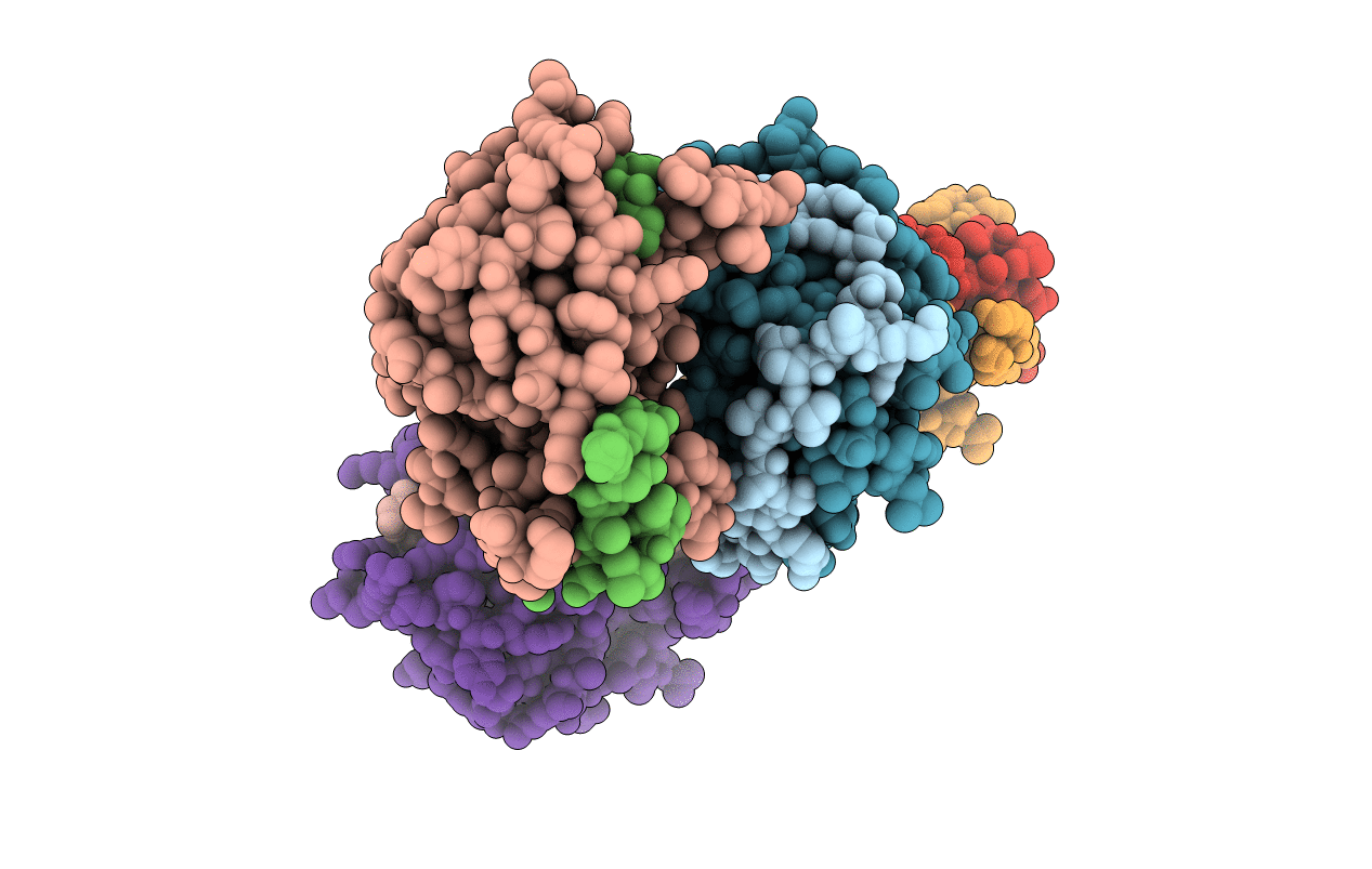 6L50 image