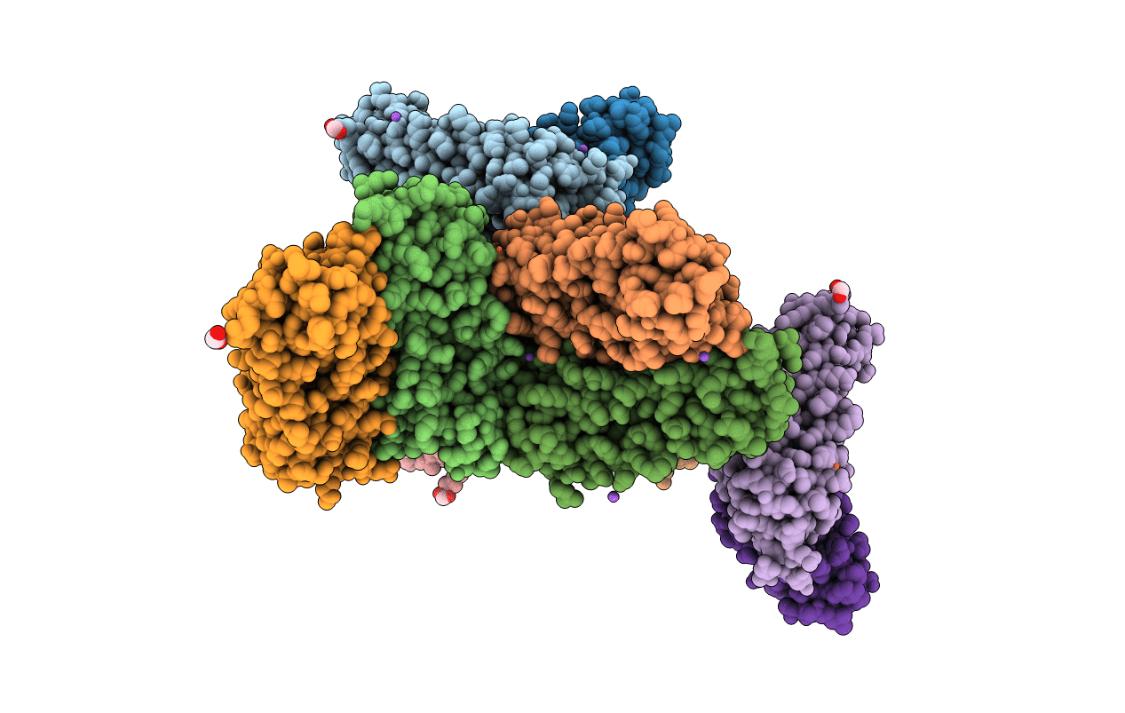 6L55 image