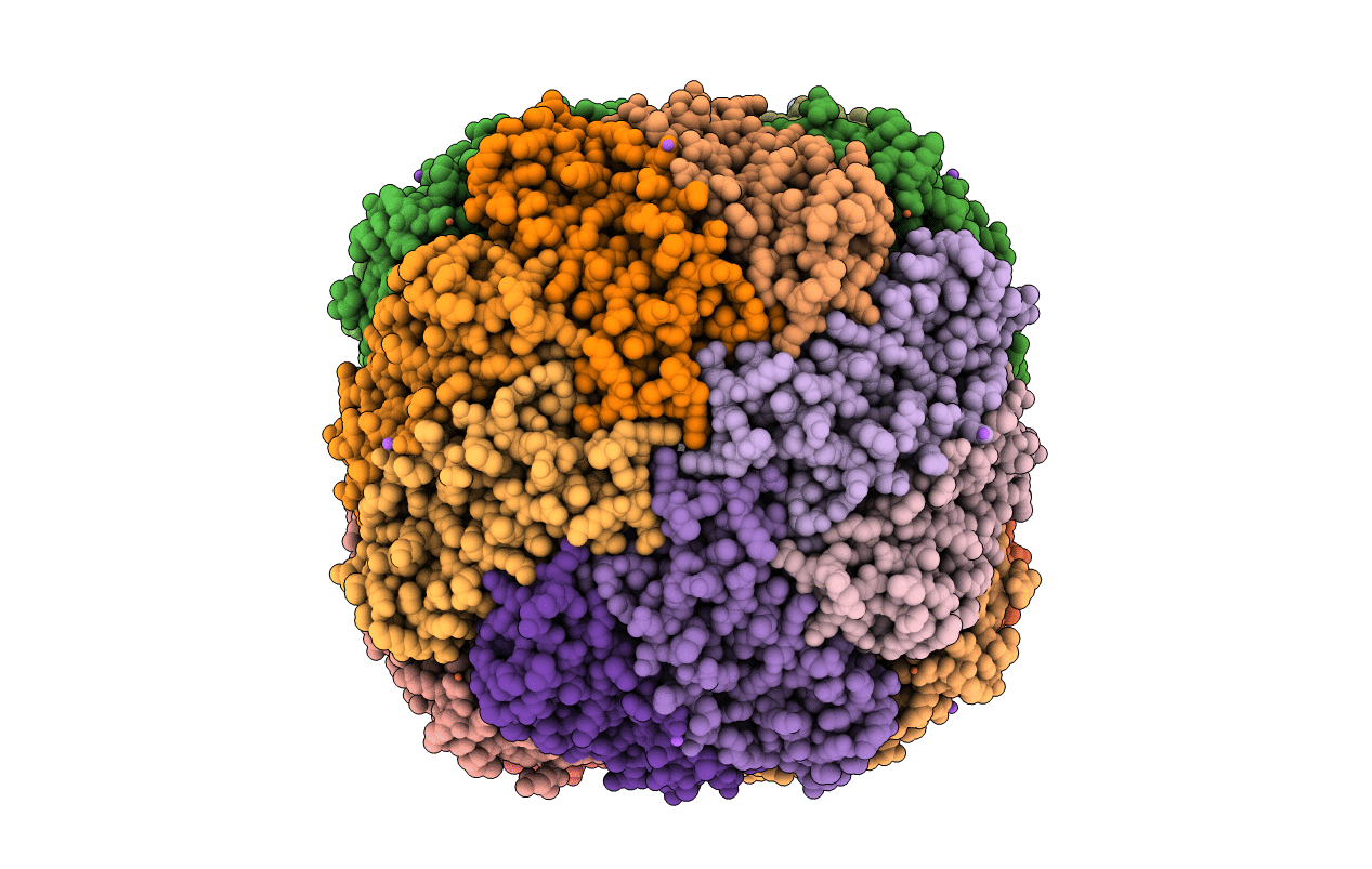 6L56 image