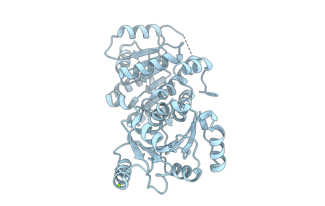 6L5L image