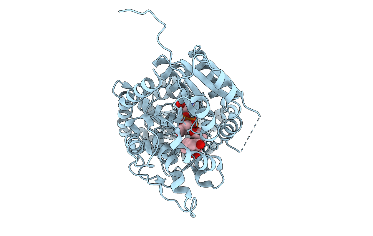 6L5S image