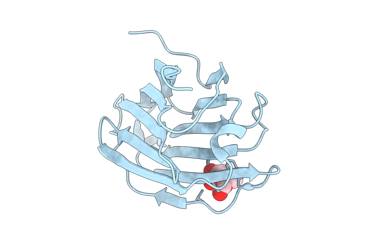 6L6B image