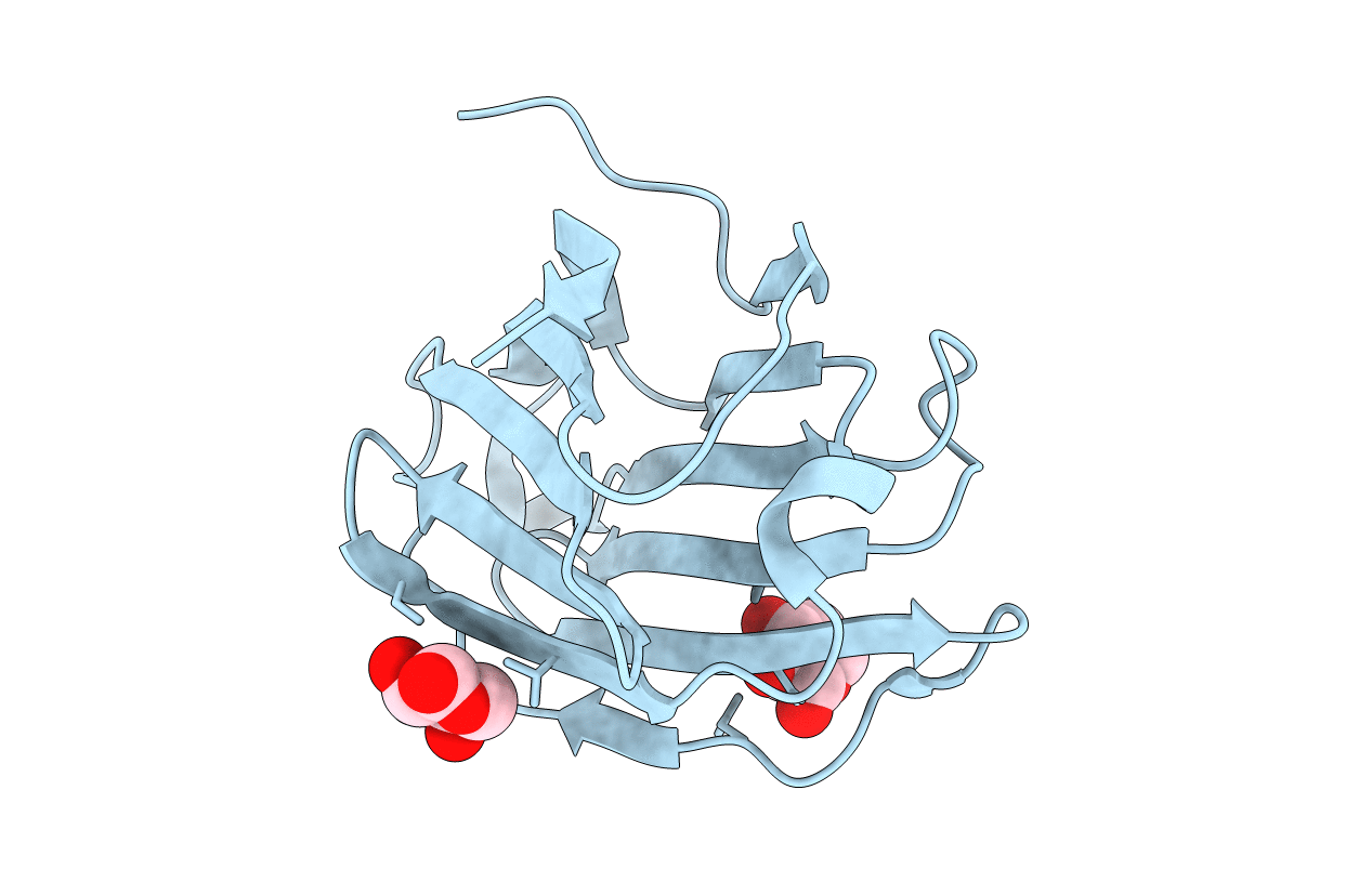 6L6C image