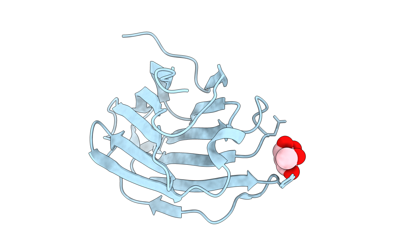 6L6D image