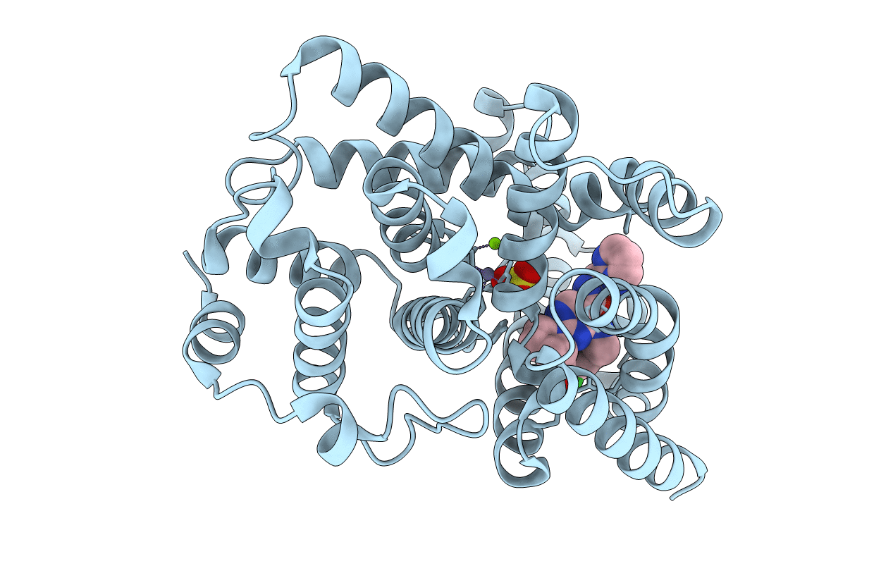 6L6E image