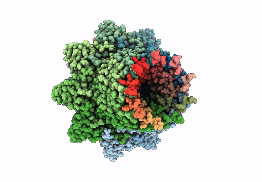 6L7C image