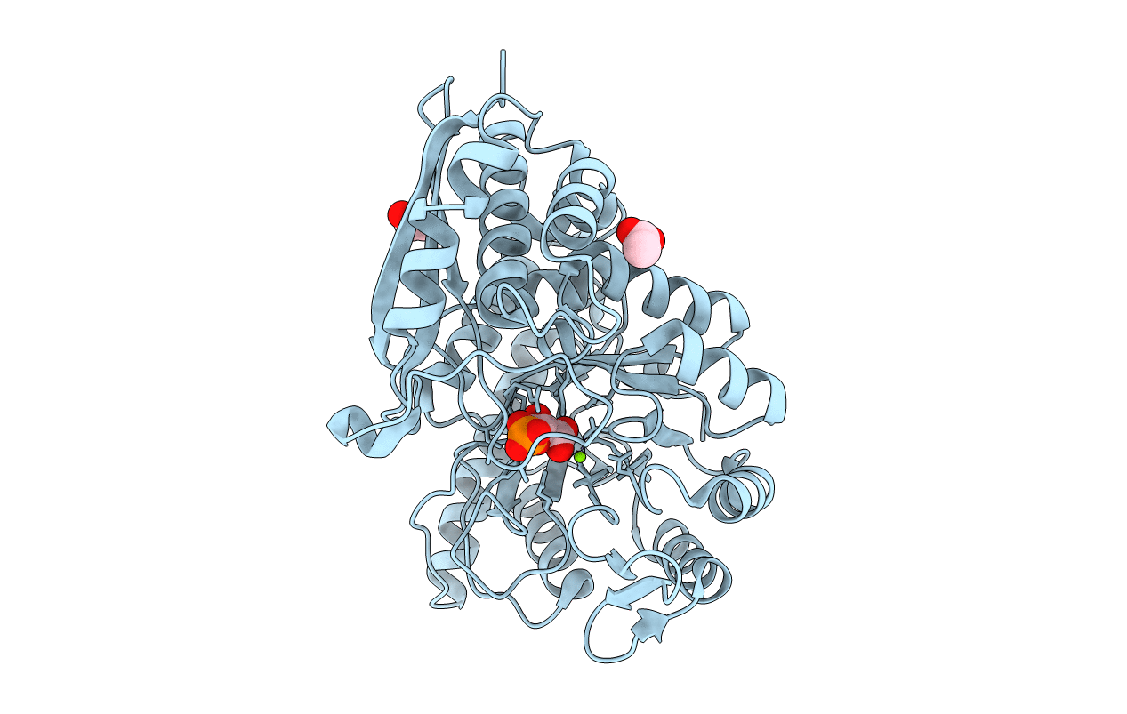 6L7D image