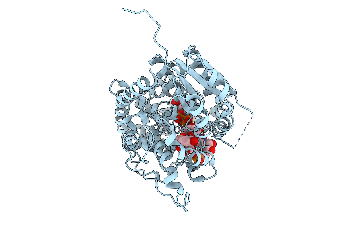 6L7H image