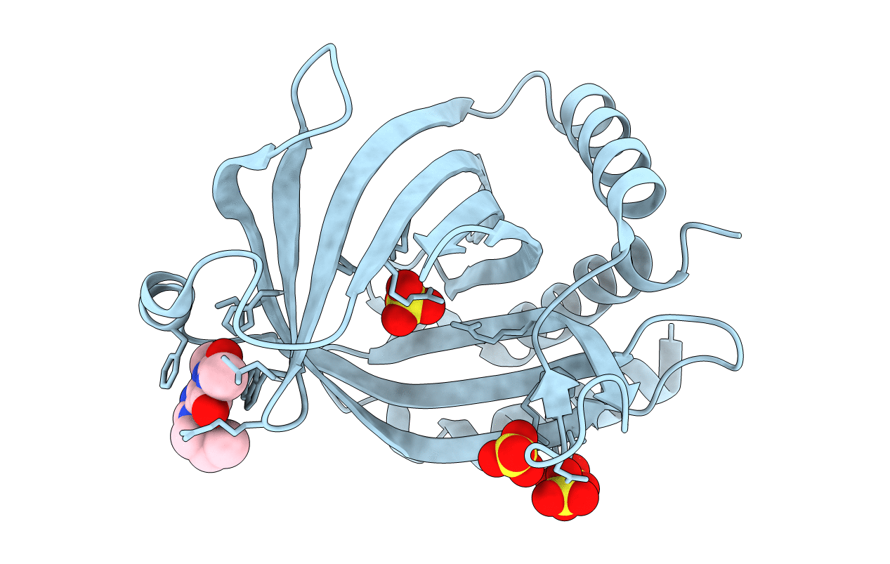 6L7X image