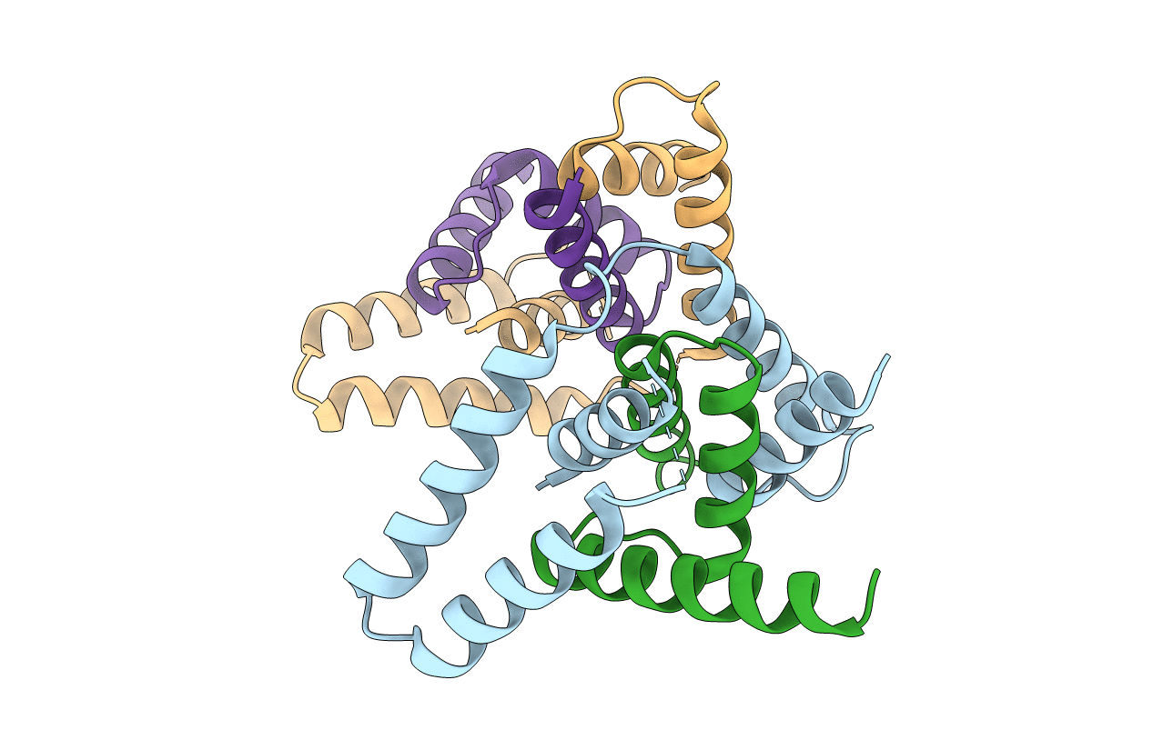 6L81 image