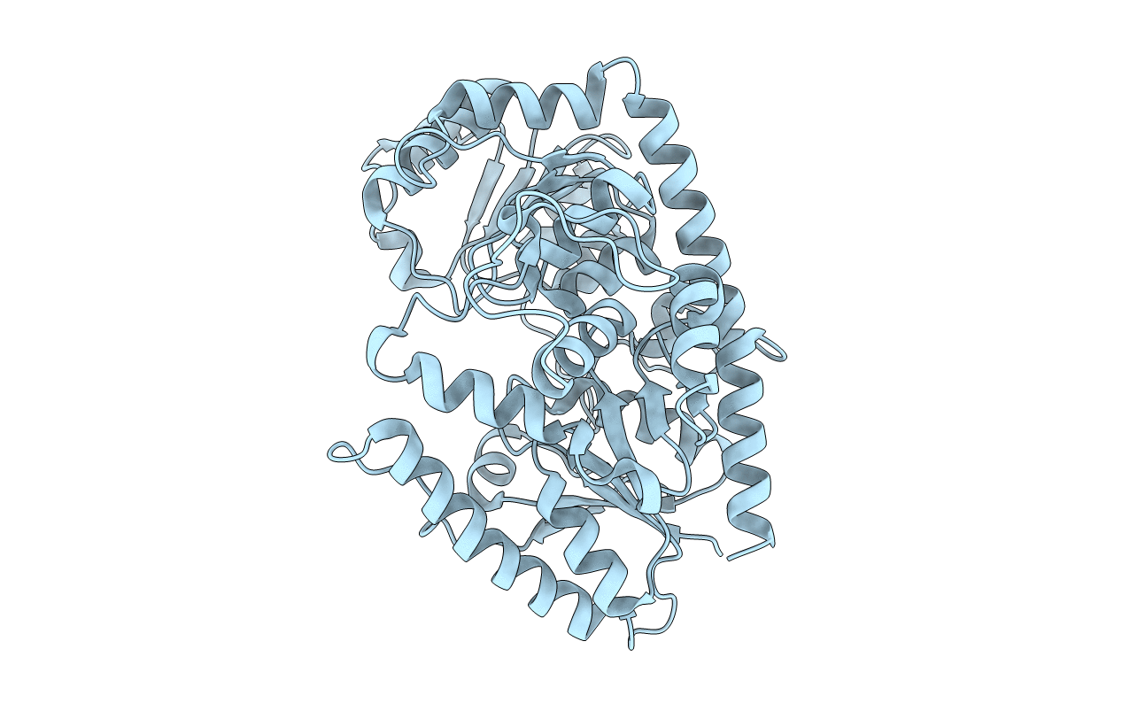 6L8X image