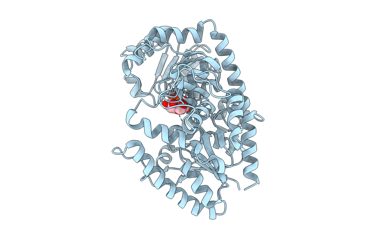 6L8Z image