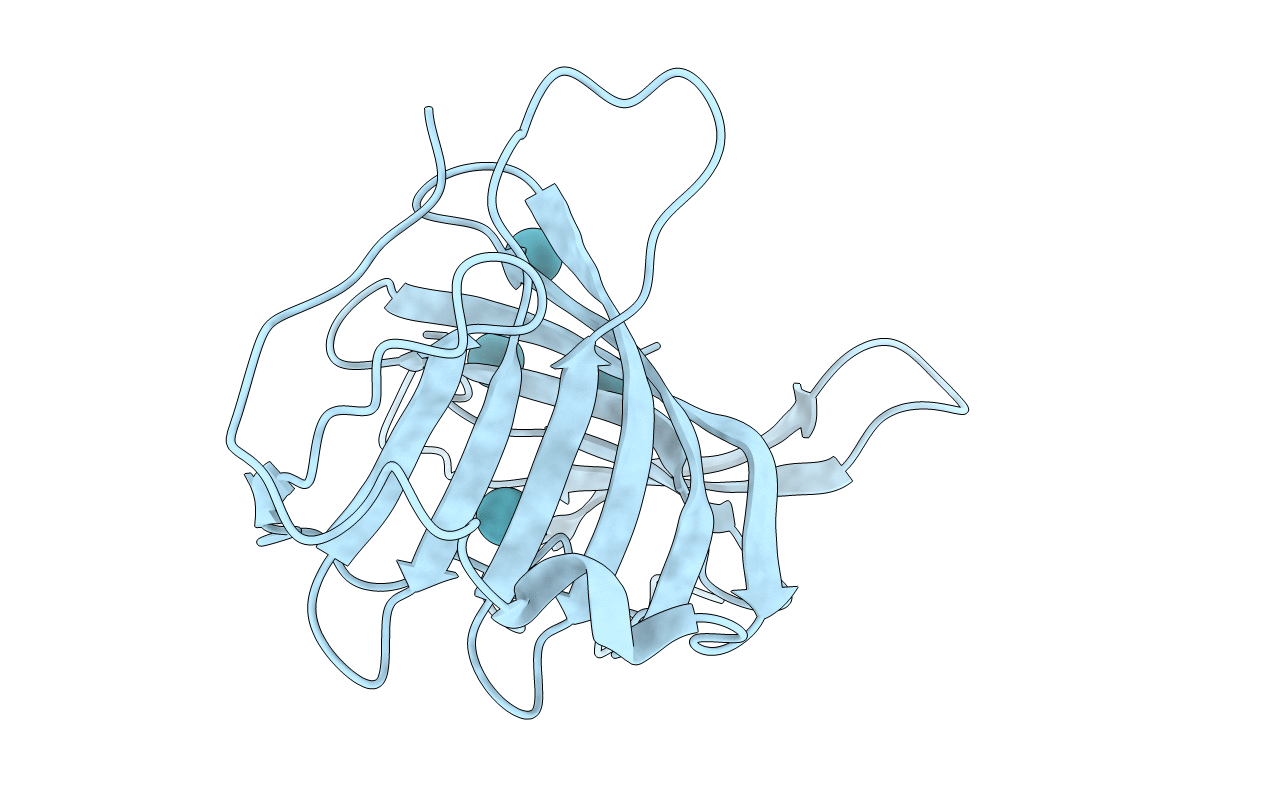 6L9X image