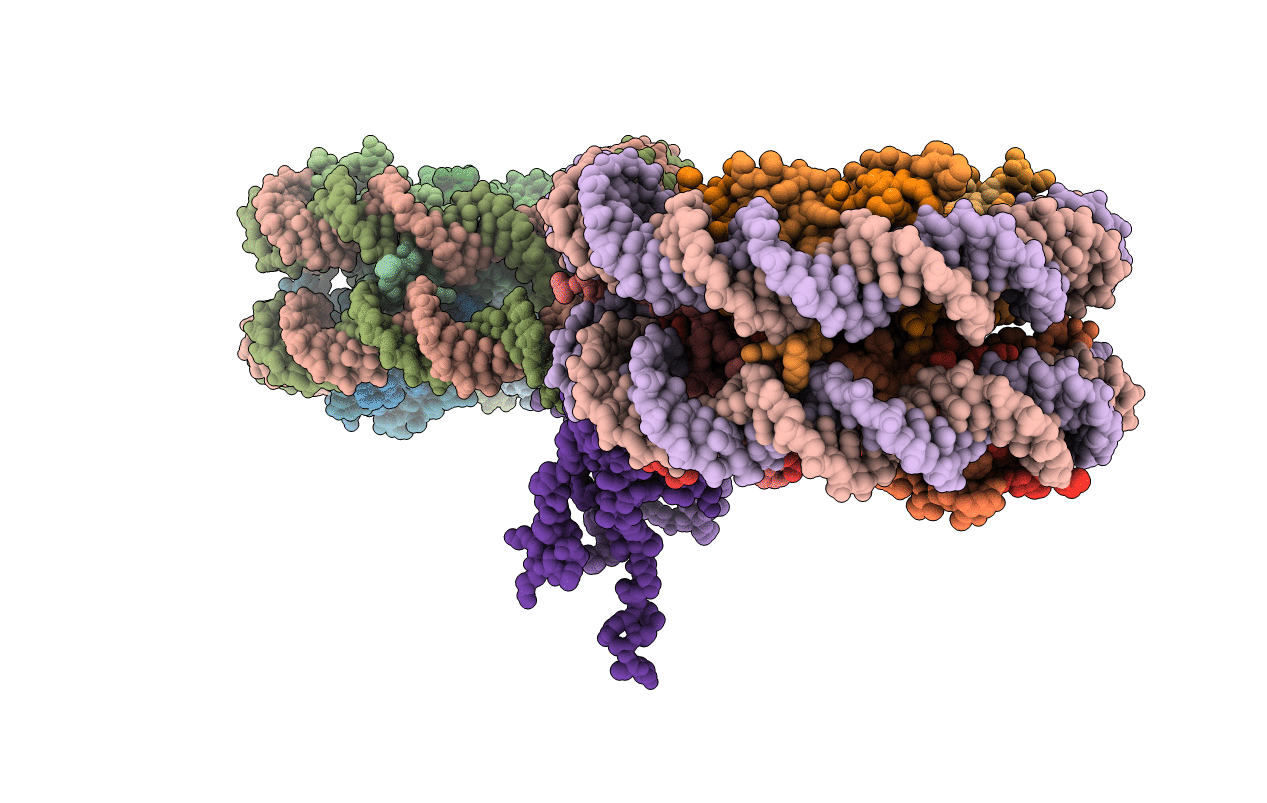 6LAB image