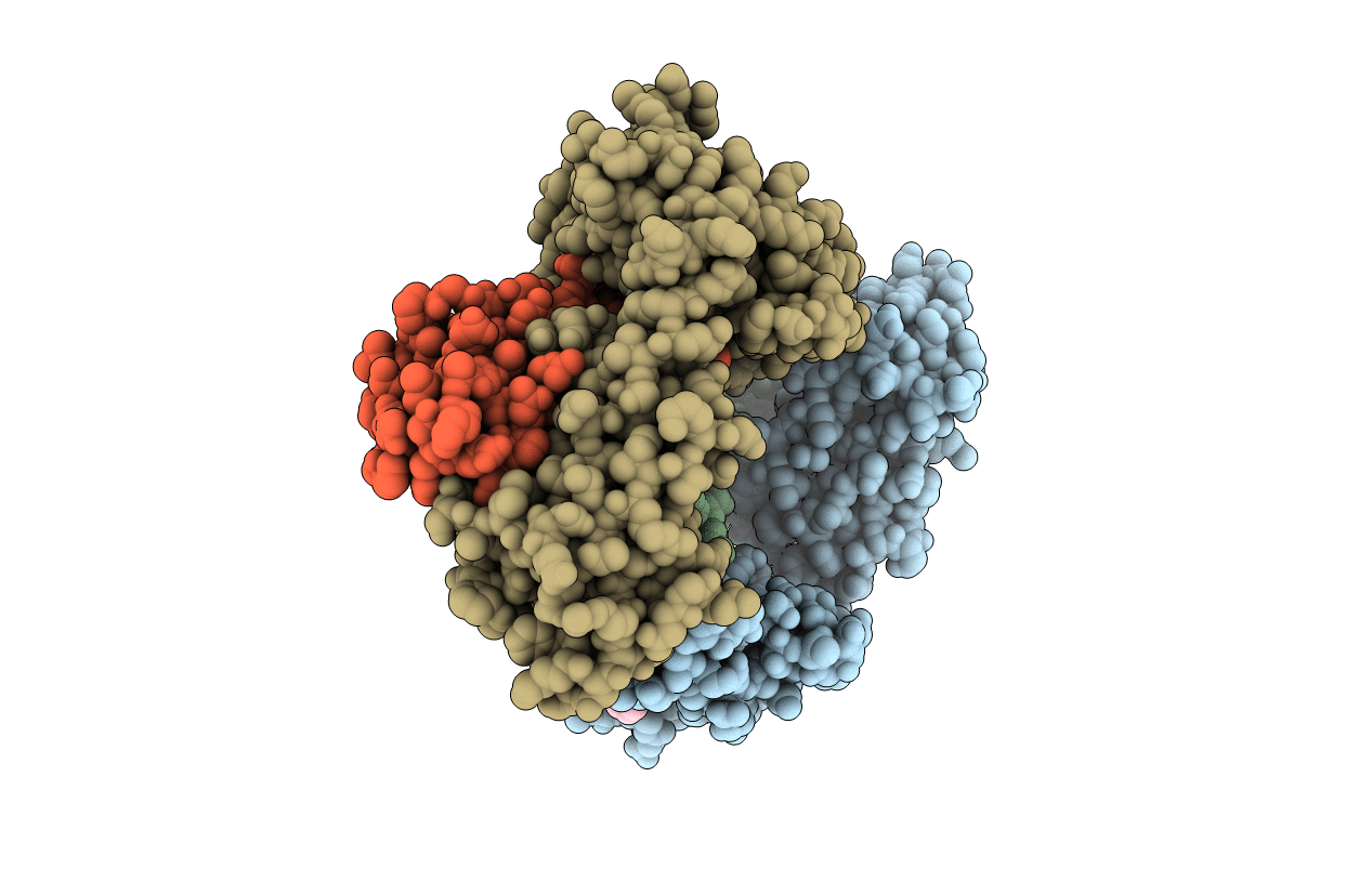 6LBE image