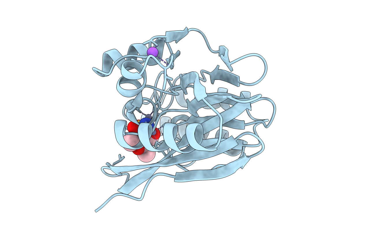 6LBL image