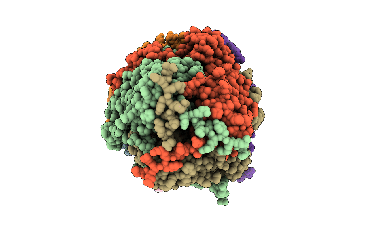 6LCN image