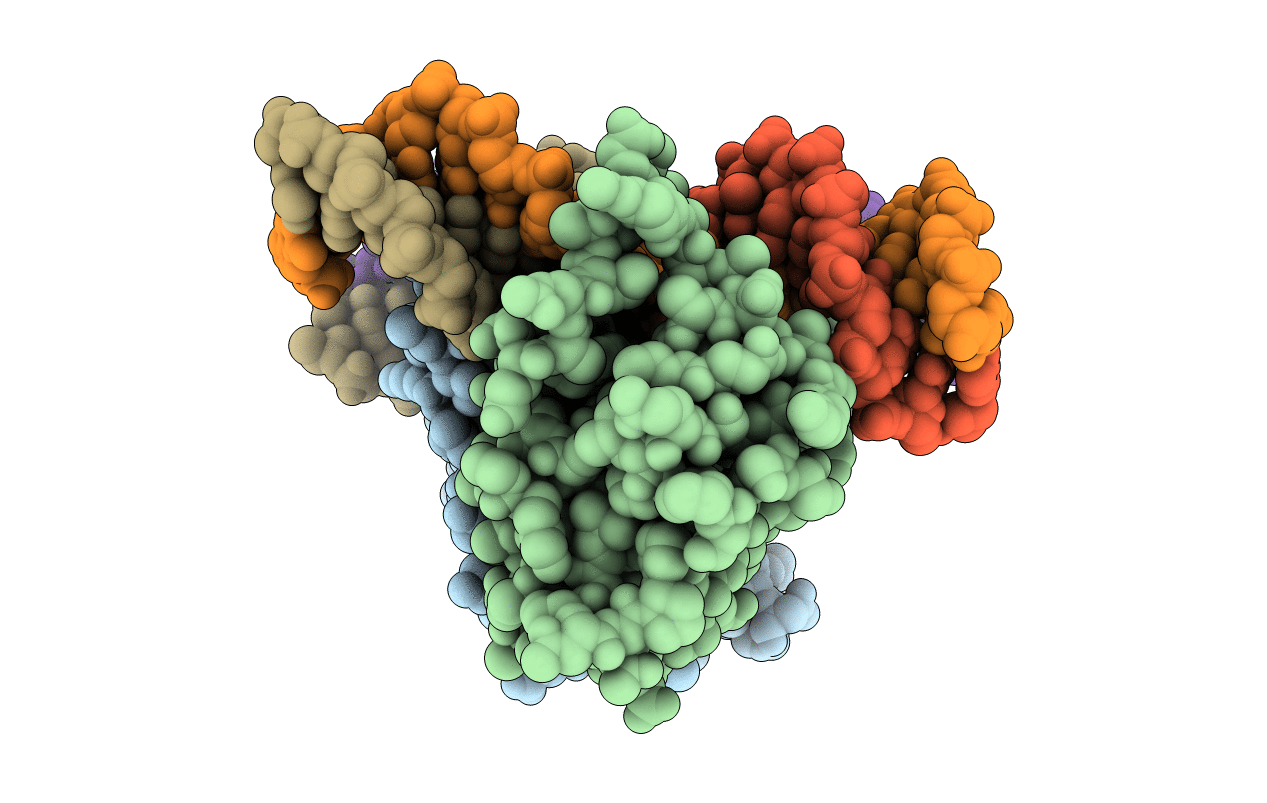 6LCT image