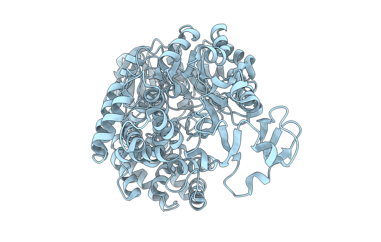 6LCV image