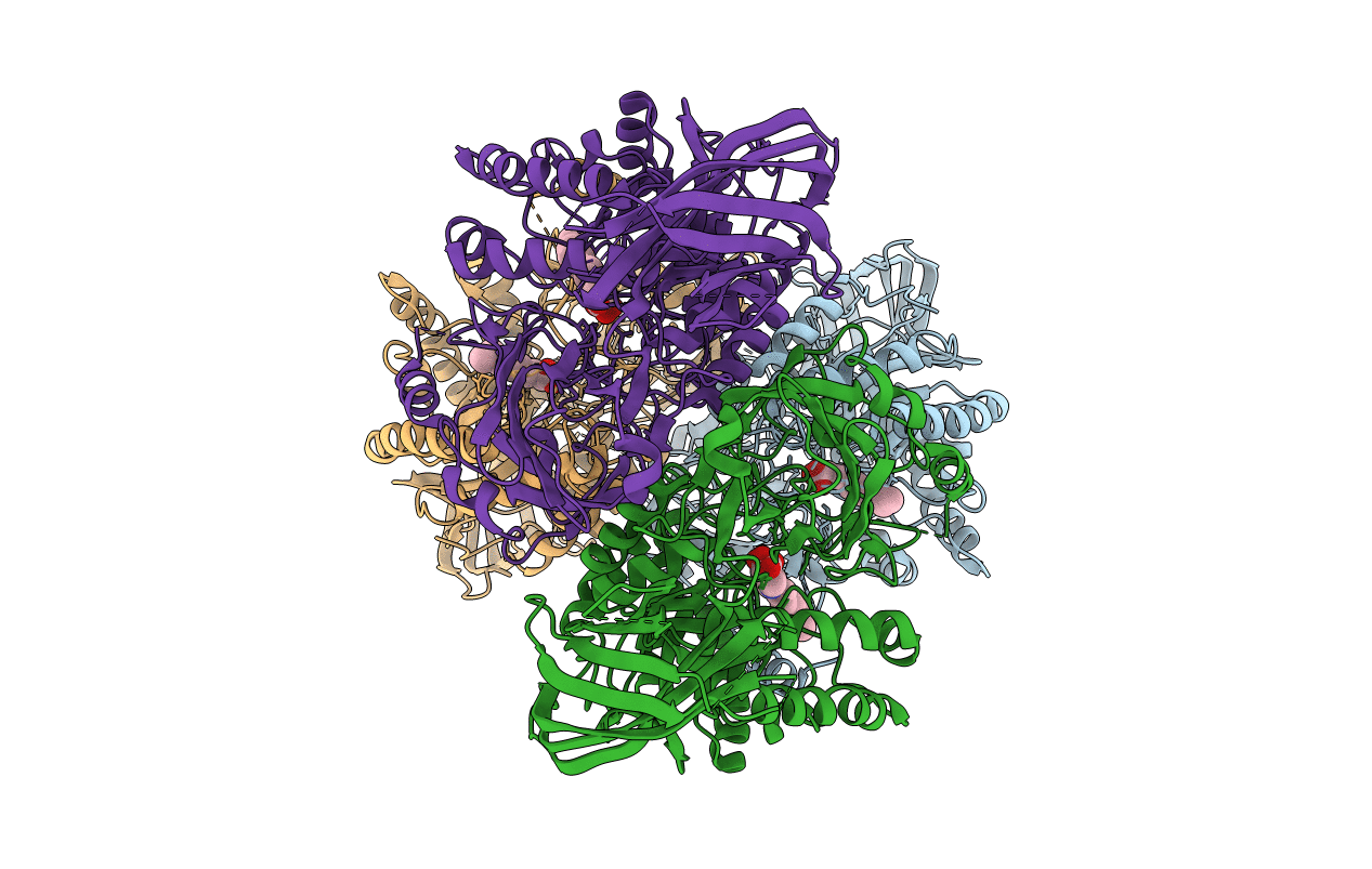 6LDC image
