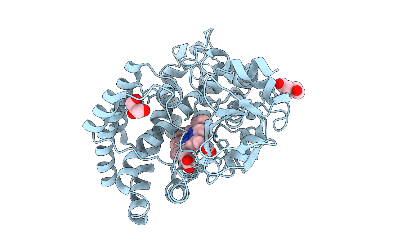 6LDL image