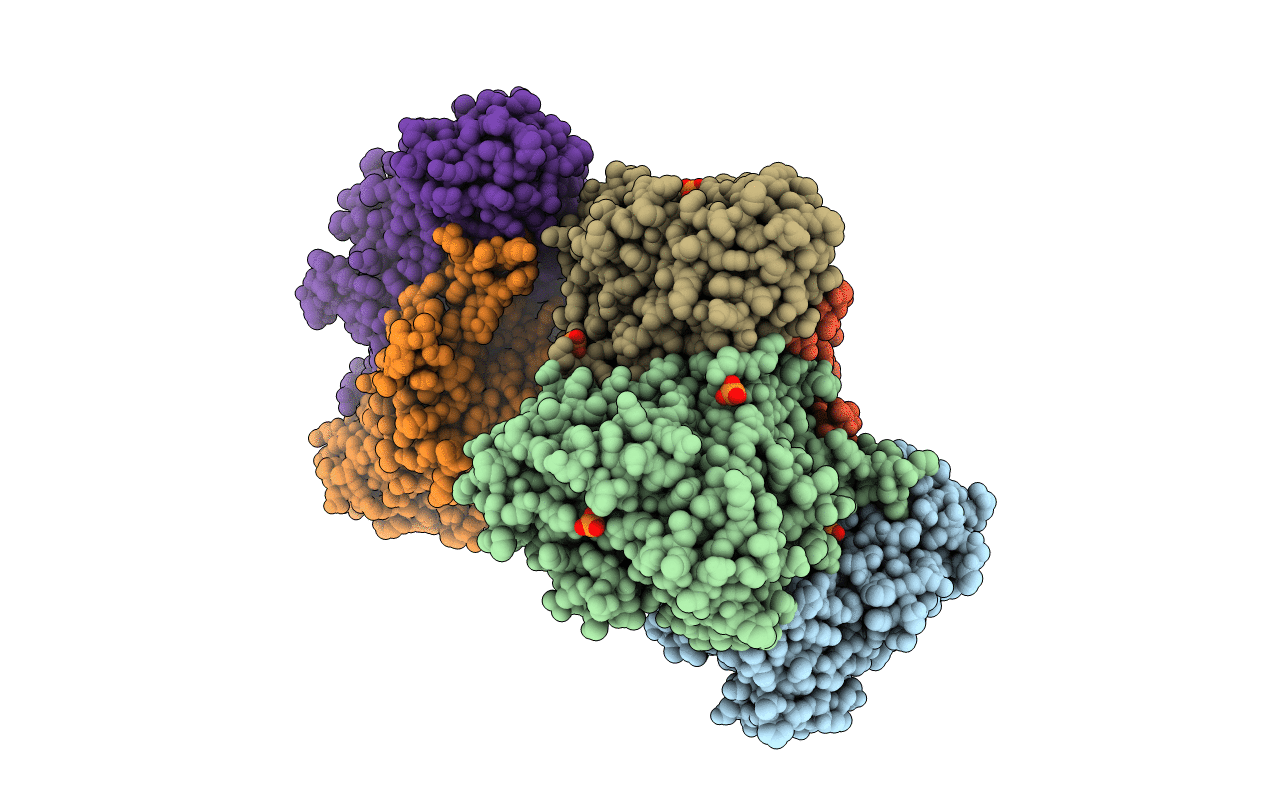 6LDO image
