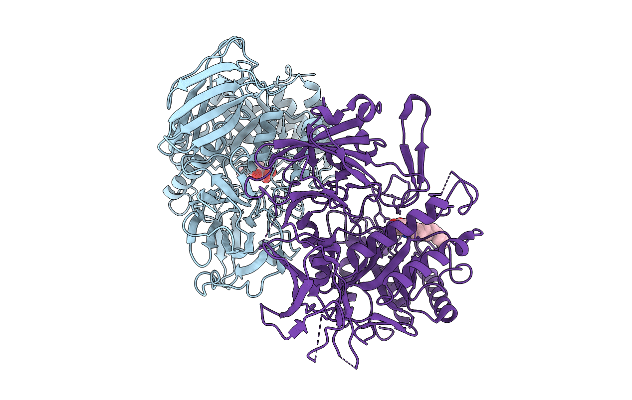 6LEM image