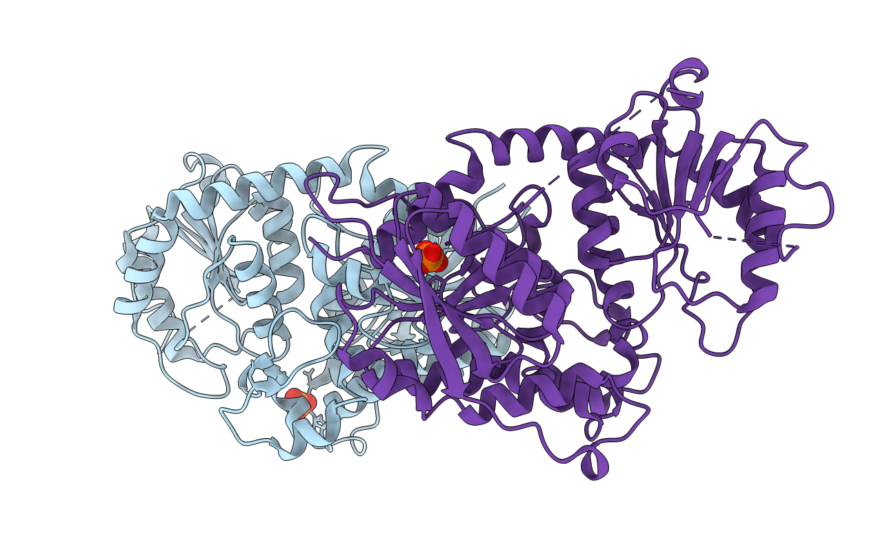 6LFN image