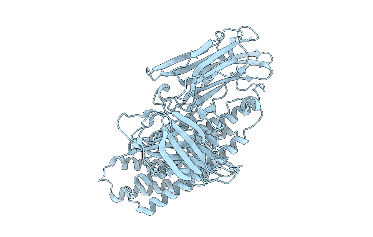 6LFP image