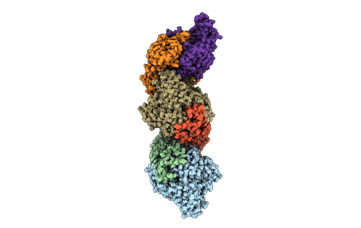 6LIV image
