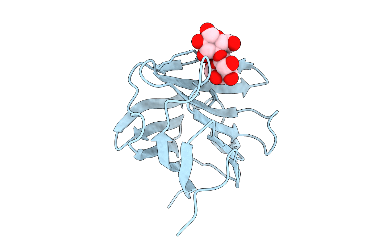 6LJR image