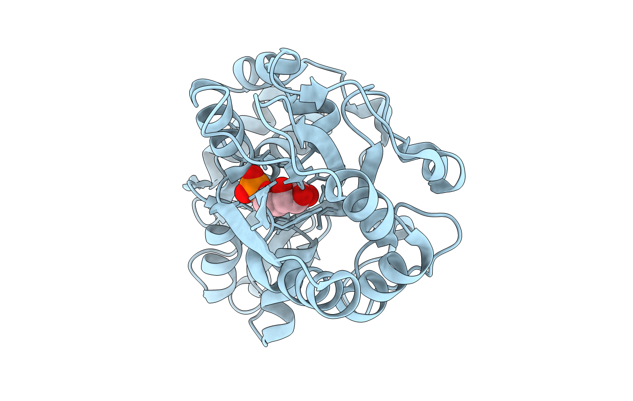 6LKJ image