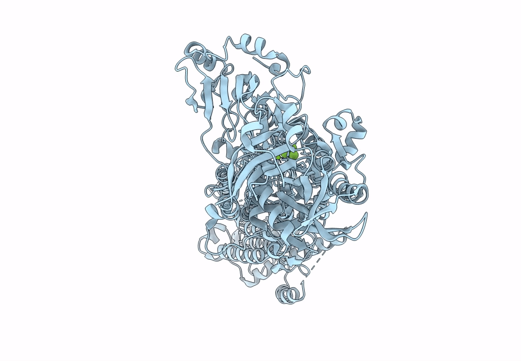 6LLY image