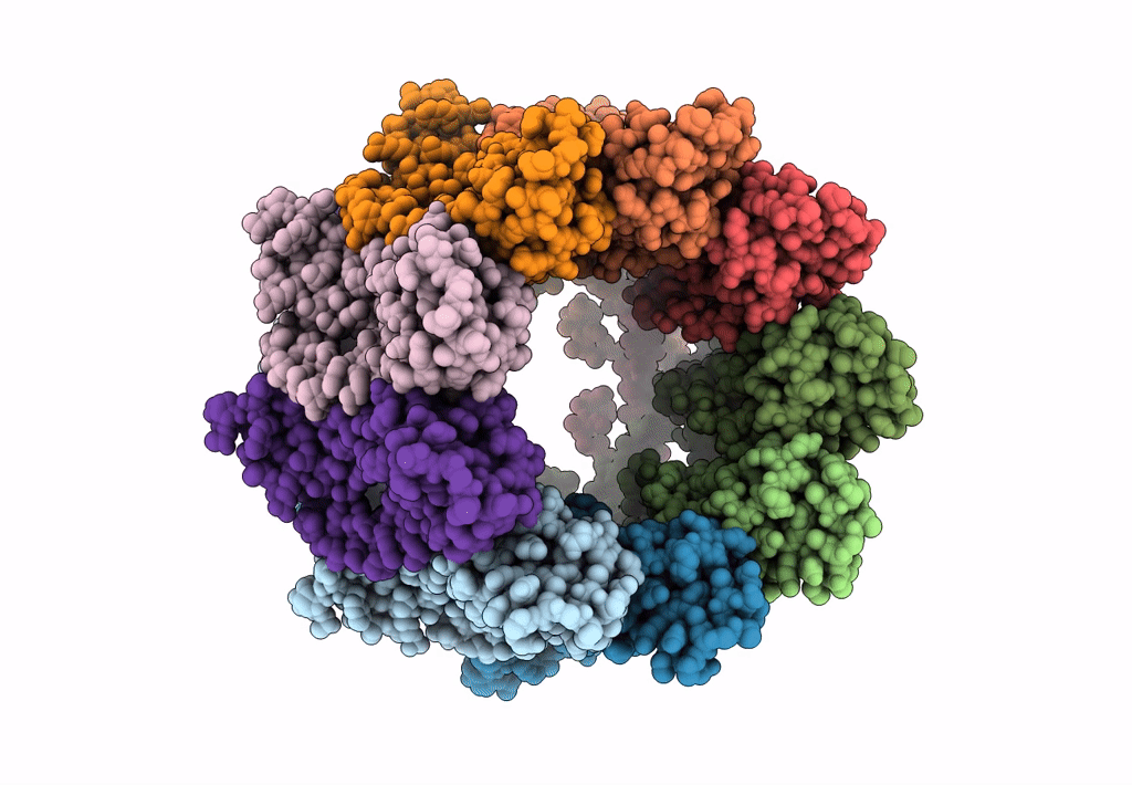 6LMX image