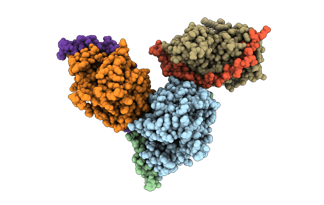 6LNM image
