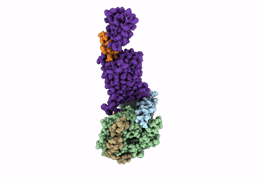 6LPB image