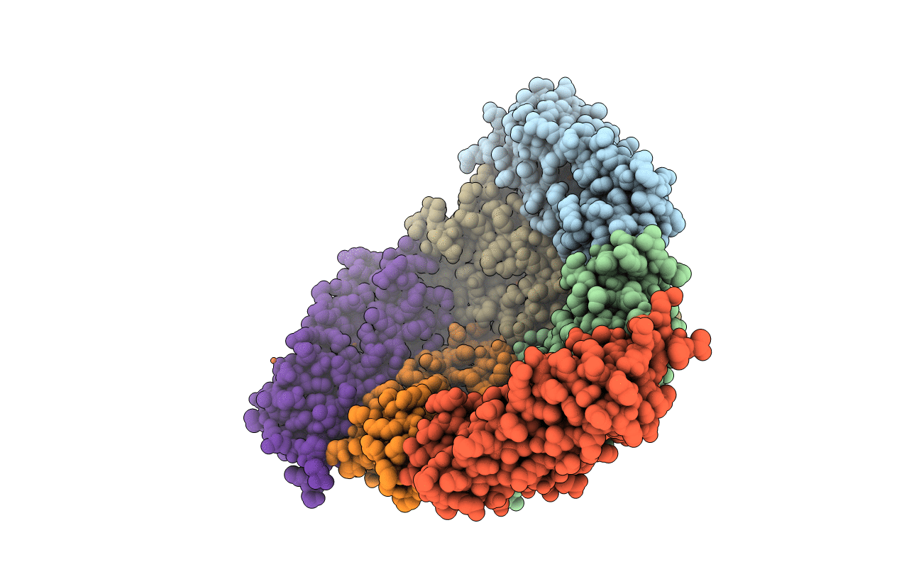 6LPD image