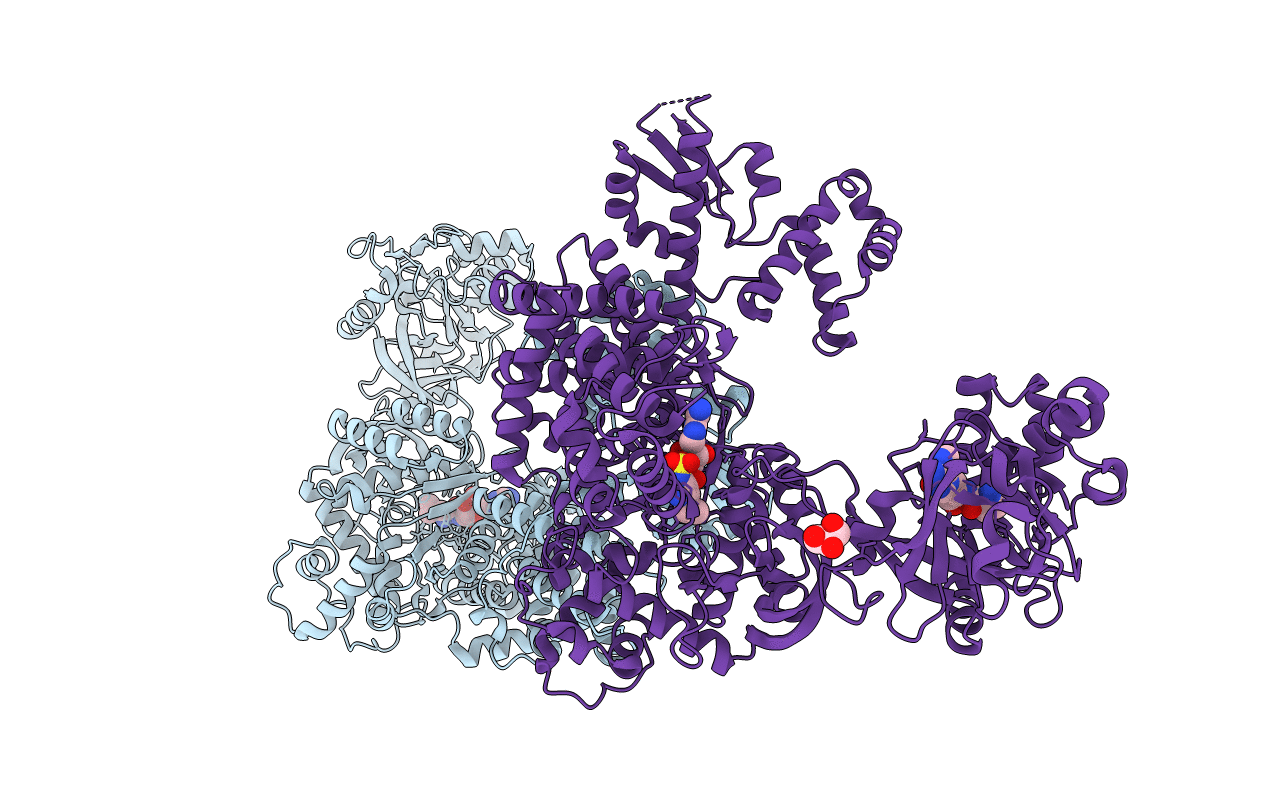 6LPF image