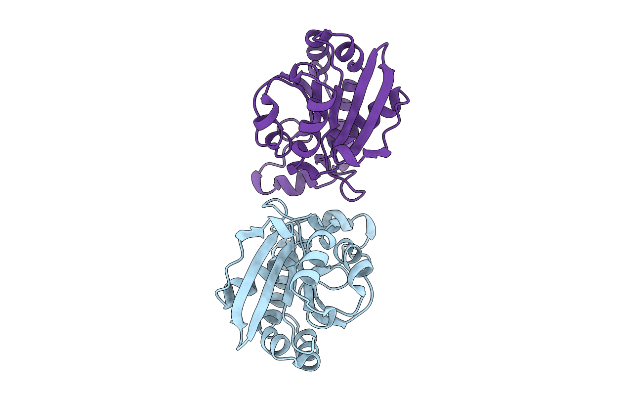 6LSP image