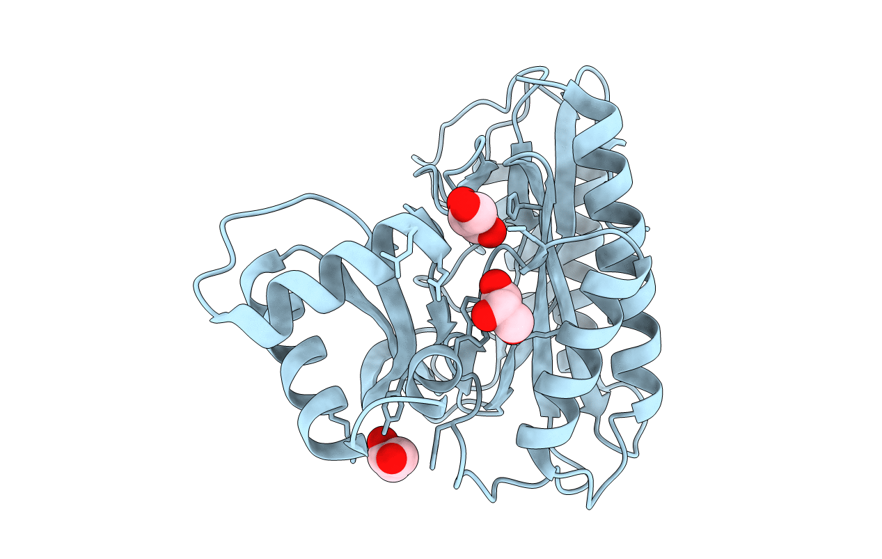 6LVH image