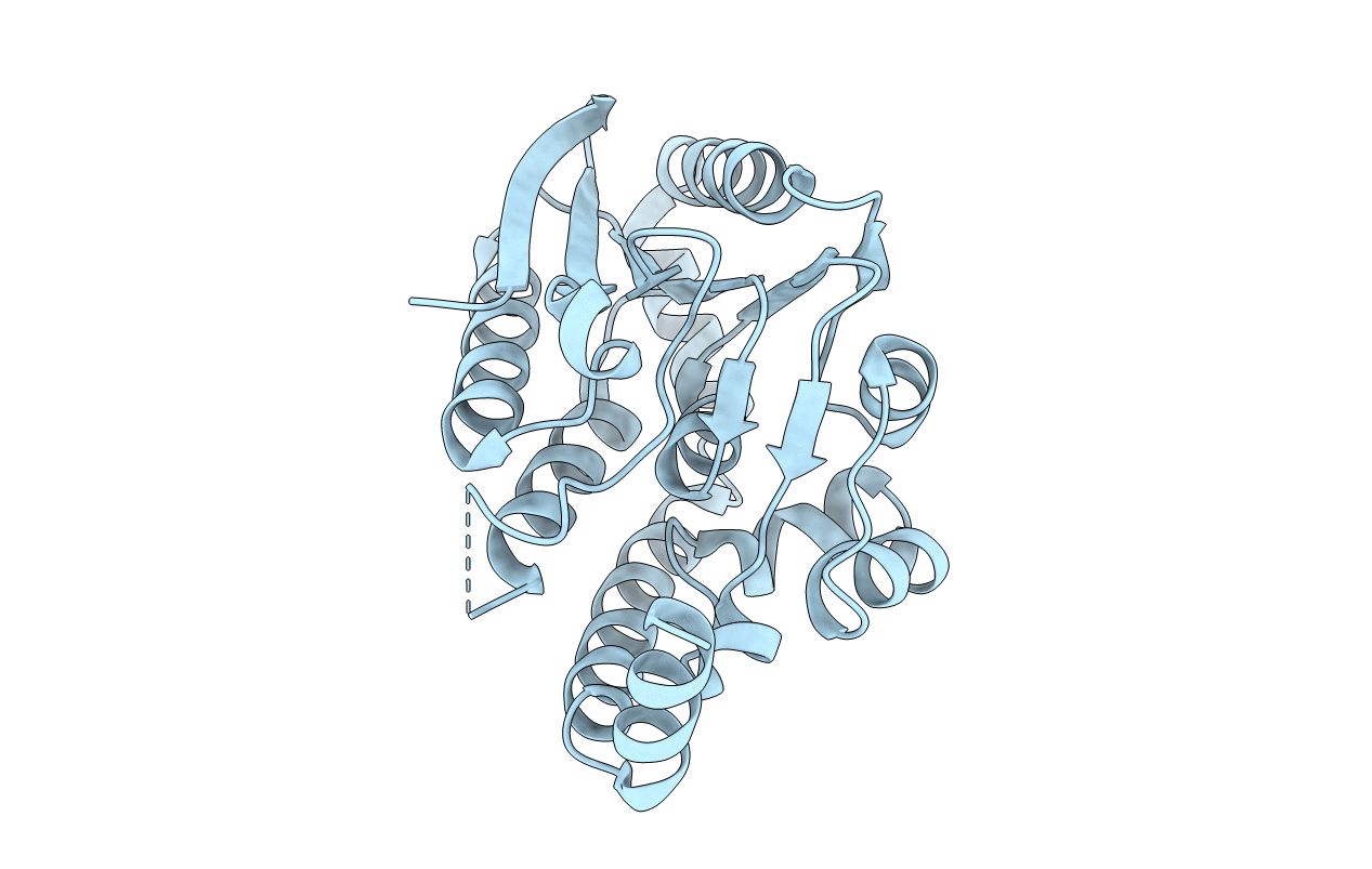 6LVO image