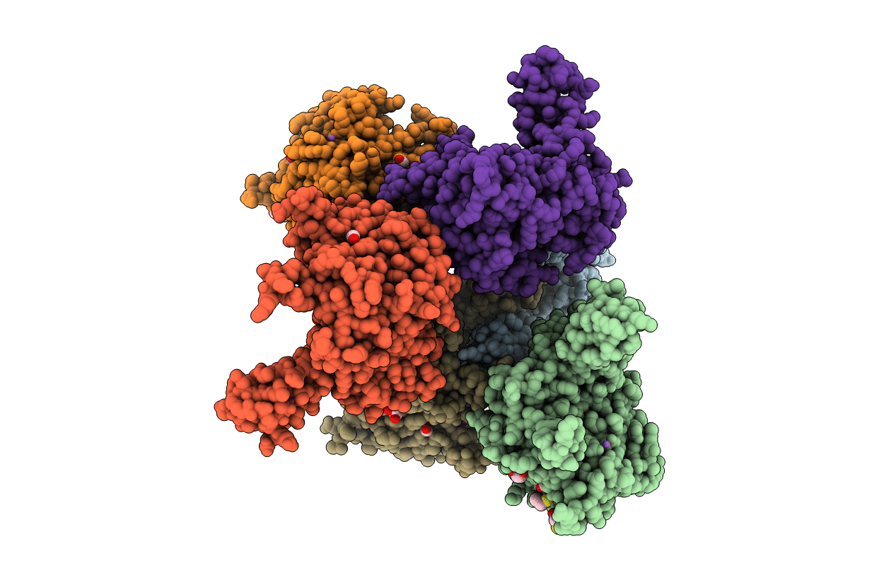 6LVS image