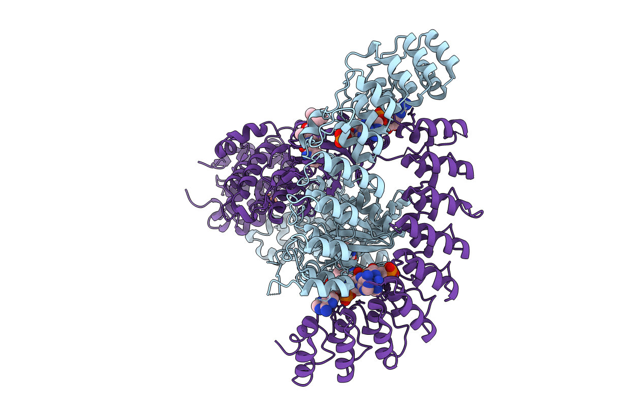 6M11 image