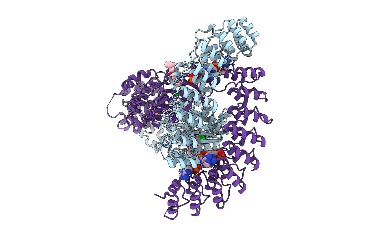 6M12 image