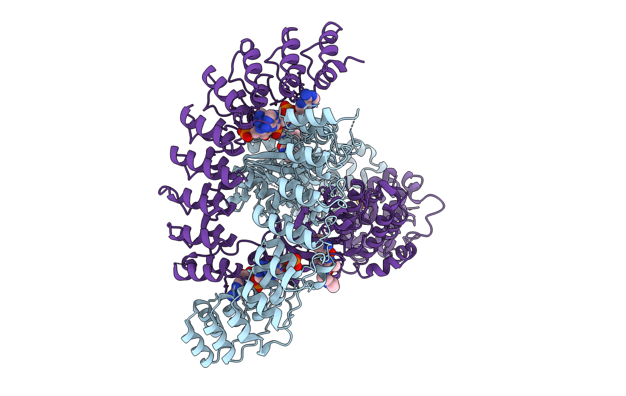 6M13 image